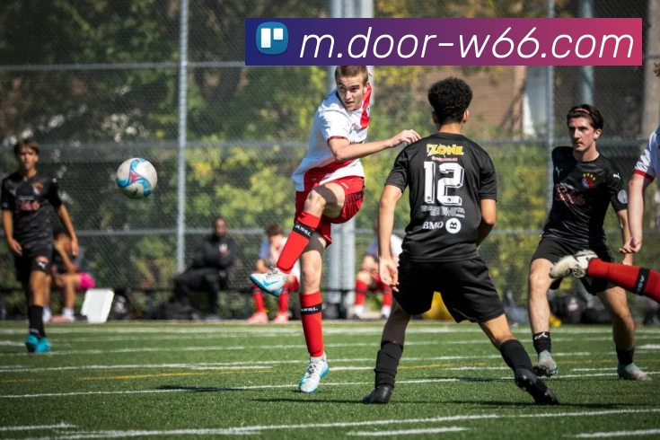 利来国际平台生态图