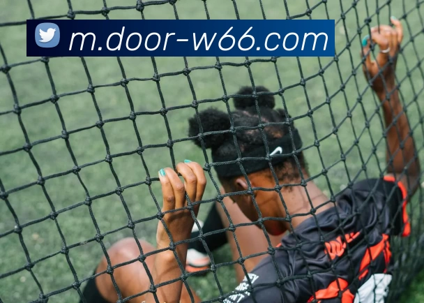 利来国际APP 封面图